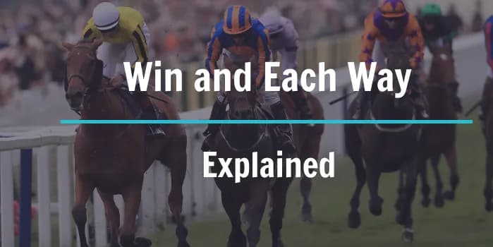 Cover image for What Does Win and Each Way Mean?